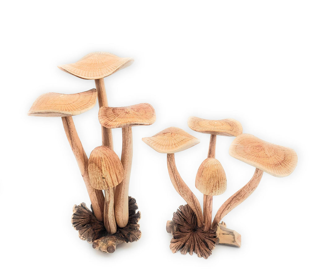 Hand Carved Jumbo Wooden Magical Mushroom