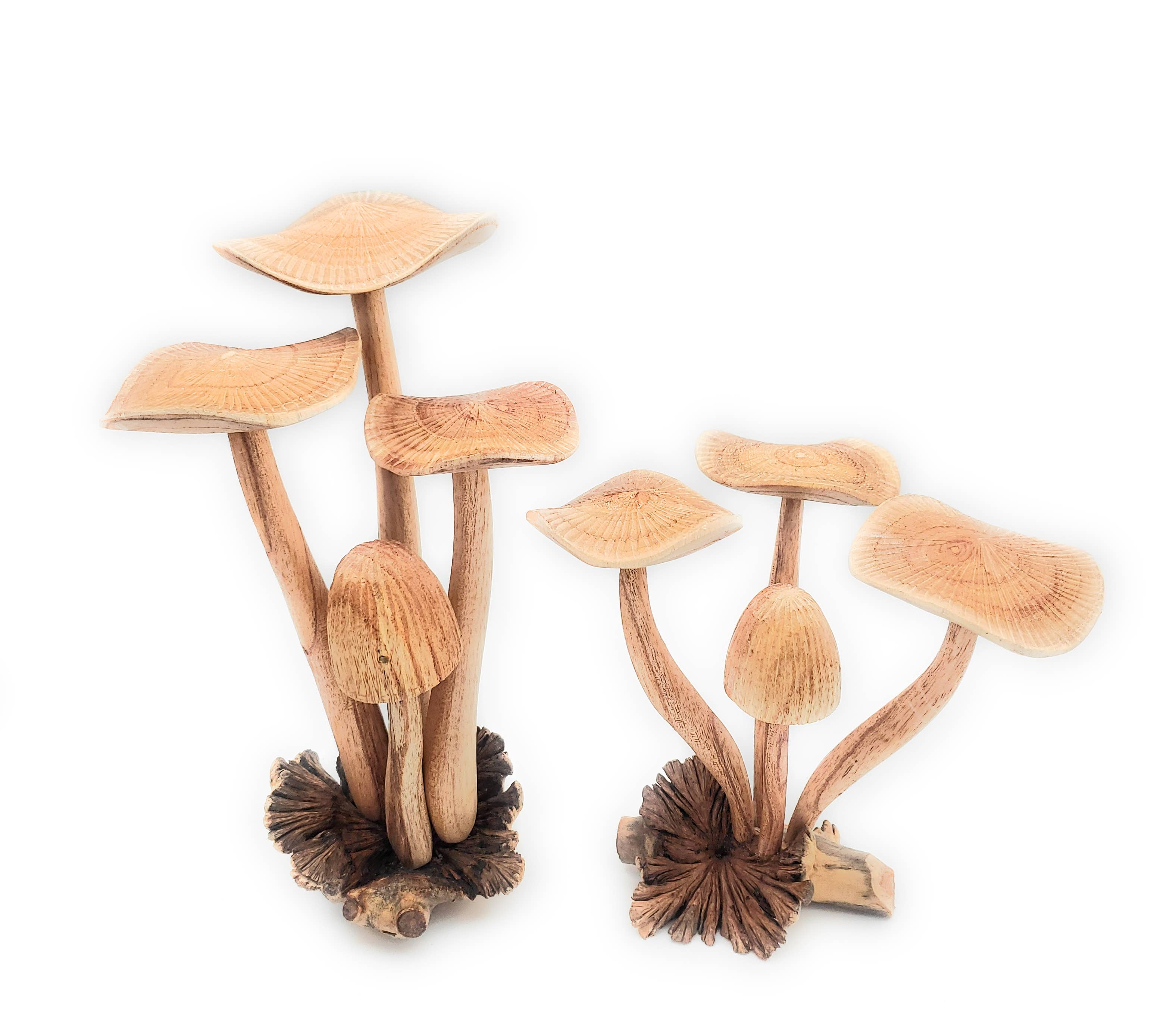 Hand Carved Jumbo Wooden Magical Mushroom