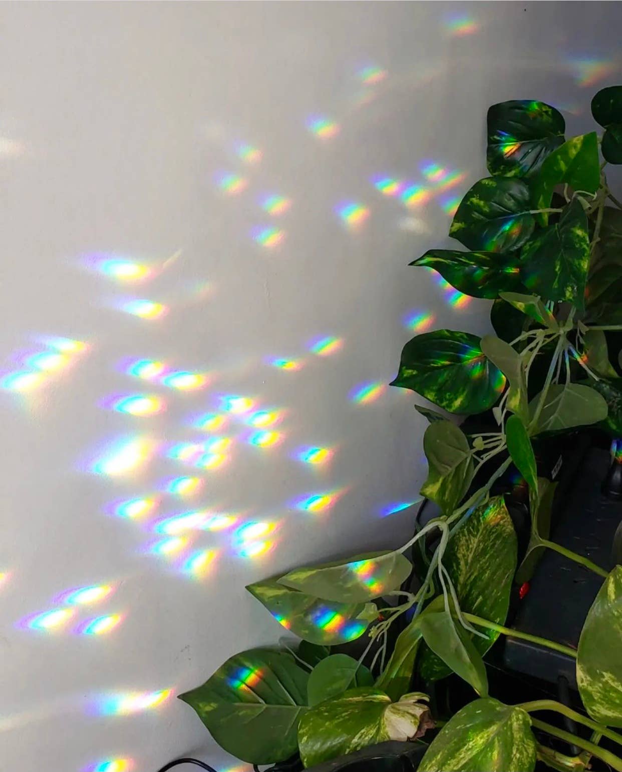 Borrowed Light Sun Catcher w/Vintage Glass Crystal