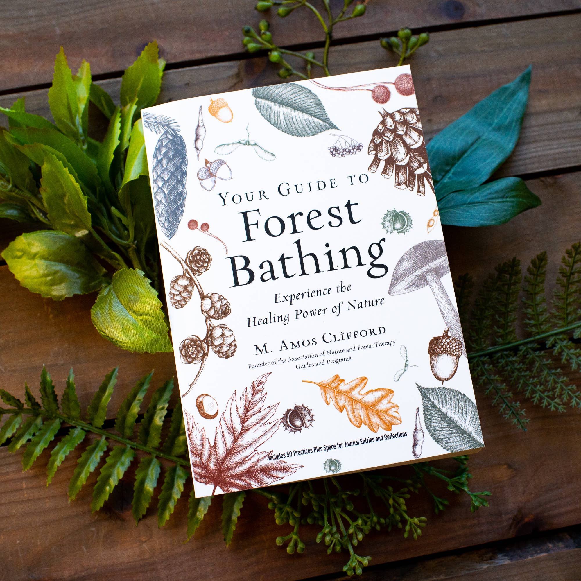 Your Guide to Forest Bathing: Expanded Edition