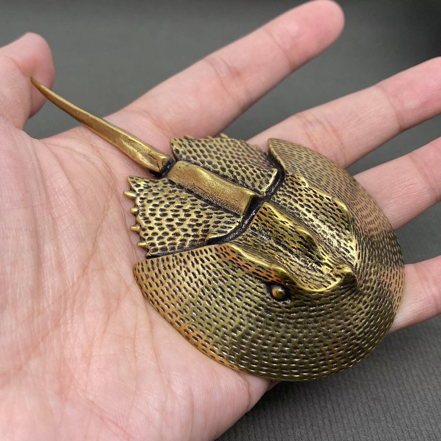 Big Horseshoe Crab Crafts Decoration Desktop Ornaments