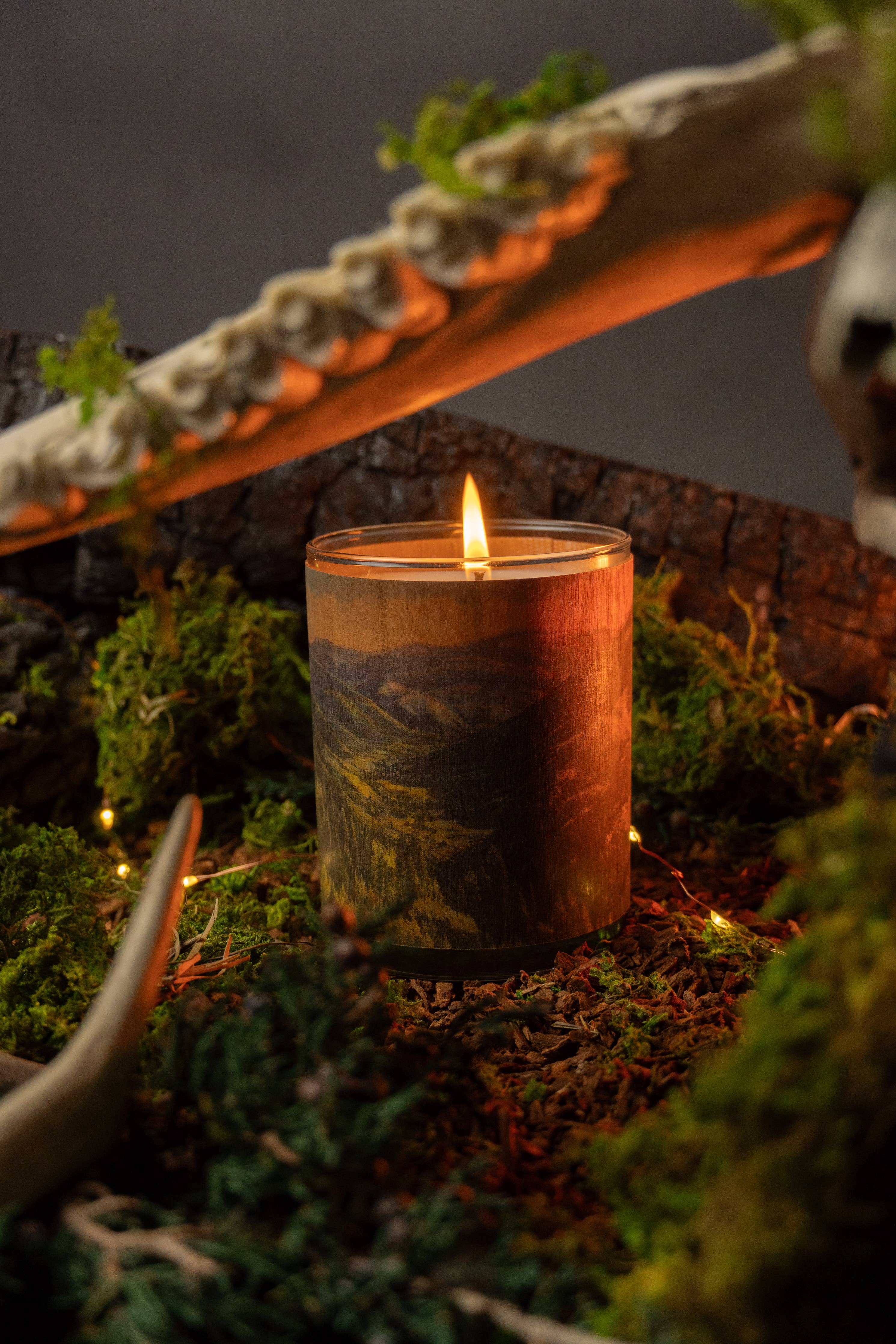 No 20 Forest Wood Wrapped Candle