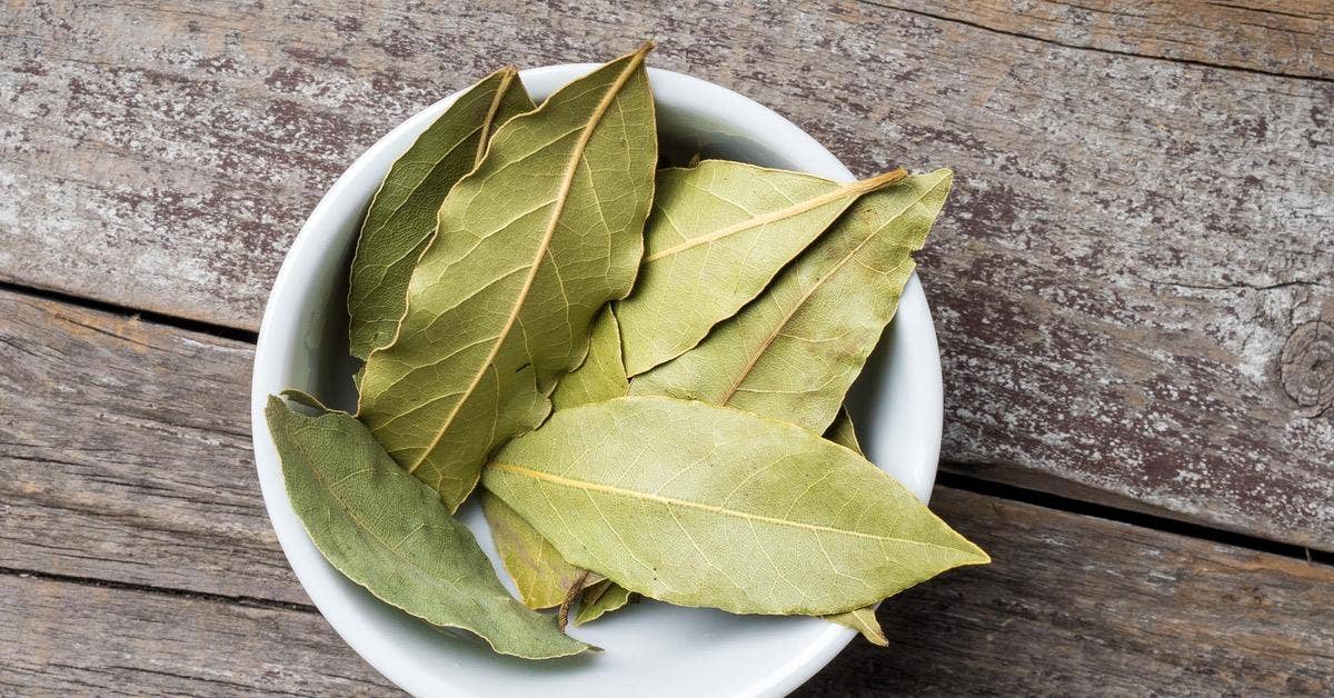 Organic Bay Leaf
