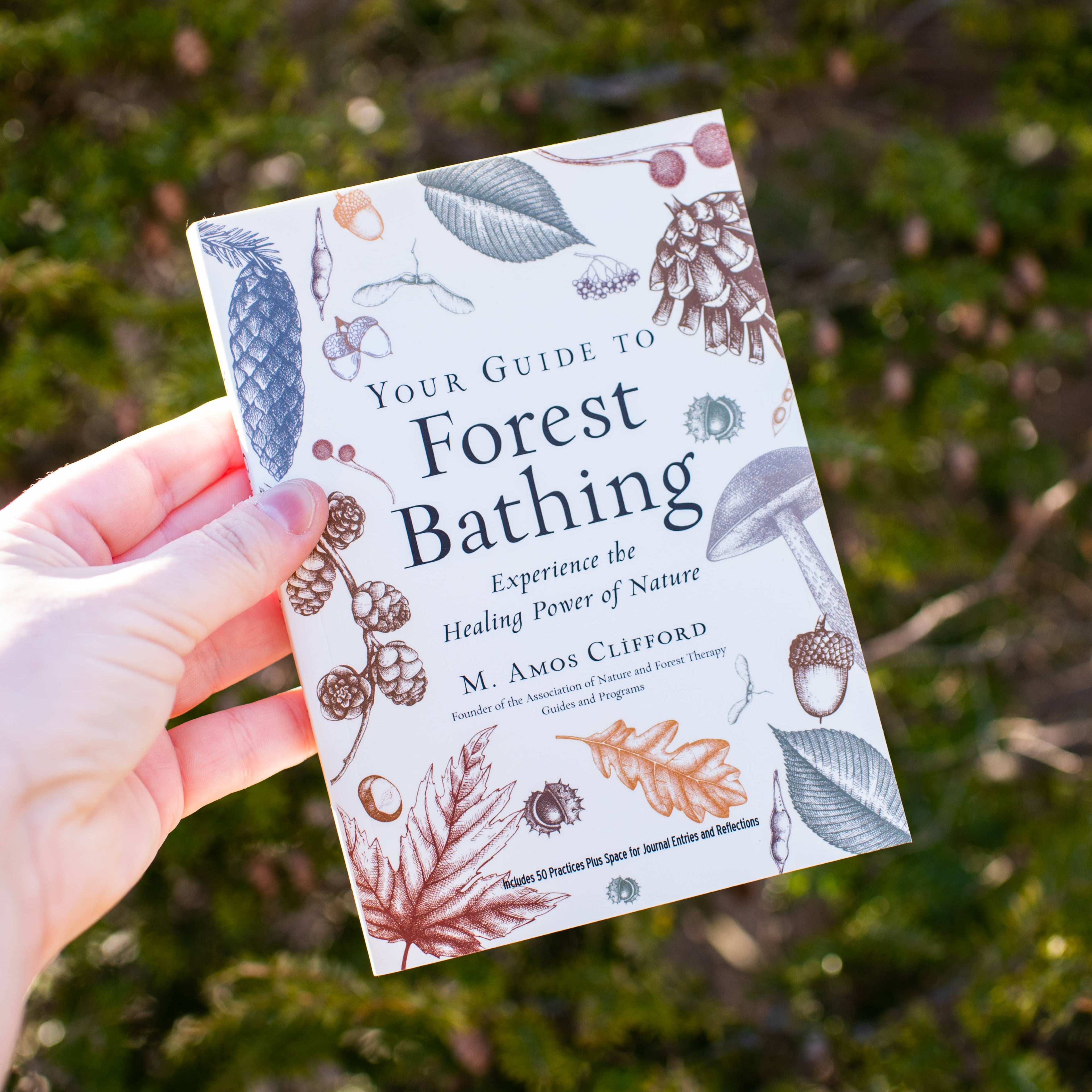 Your Guide to Forest Bathing: Expanded Edition