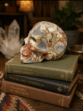Rhyolite Skull
