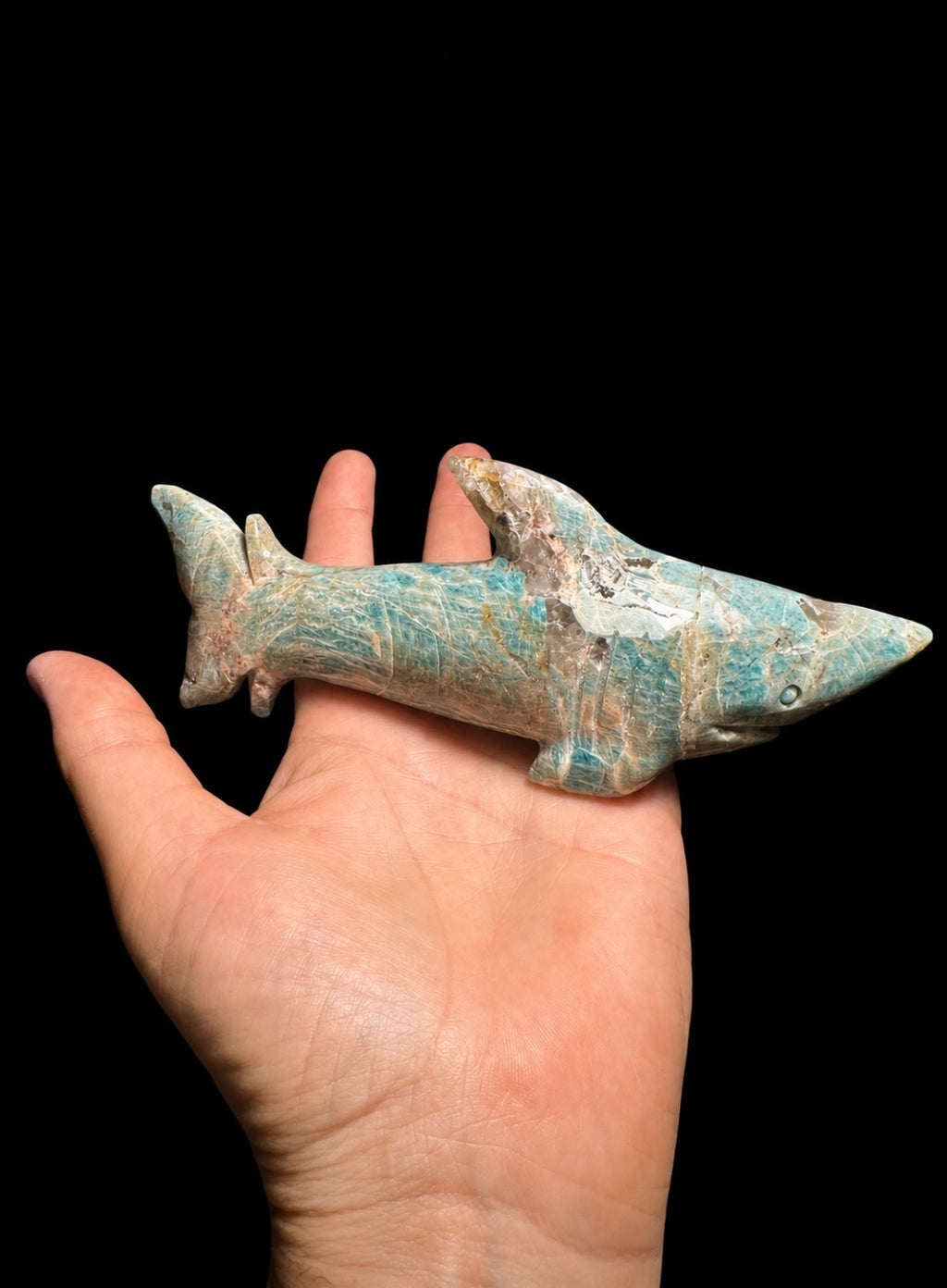 Amazonite Shark from Madagascar