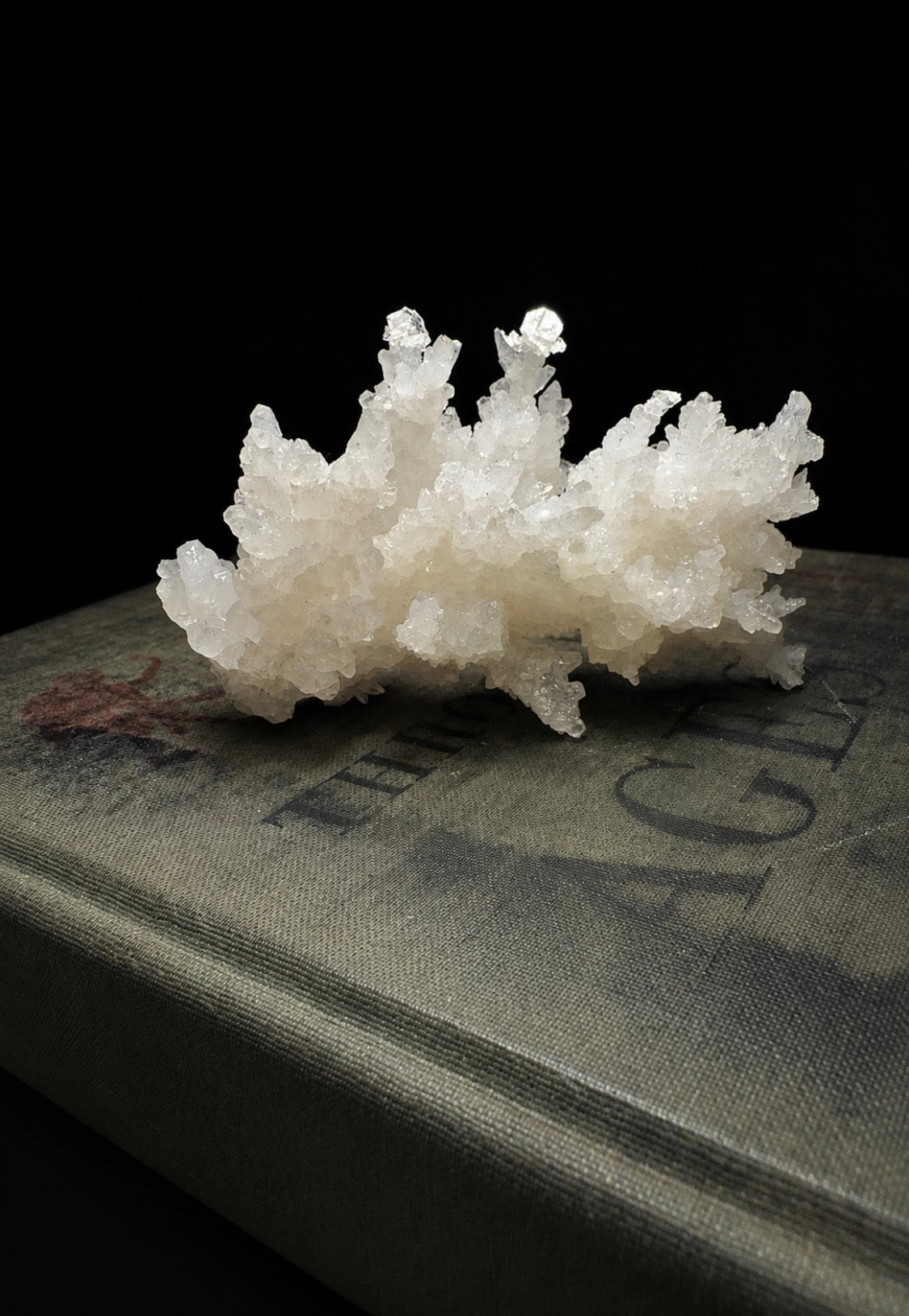 White Aragonite Coral Cluster