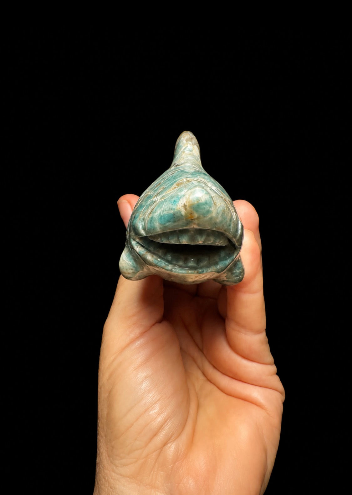 Amazonite Shark from Madagascar