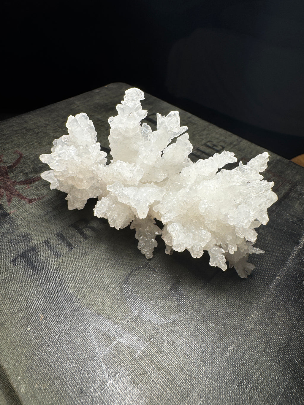 White Aragonite Coral Cluster