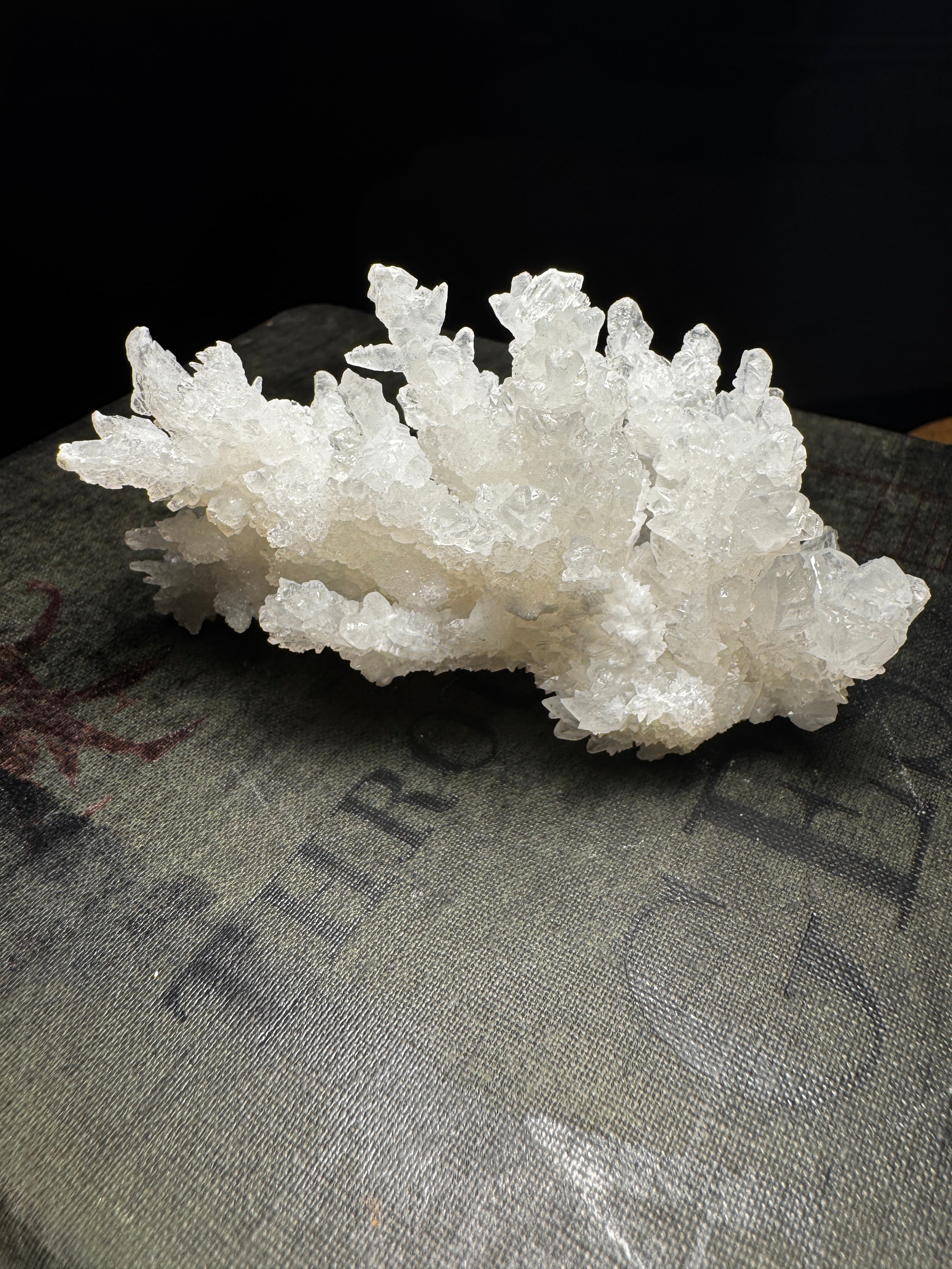 White Aragonite Coral Cluster