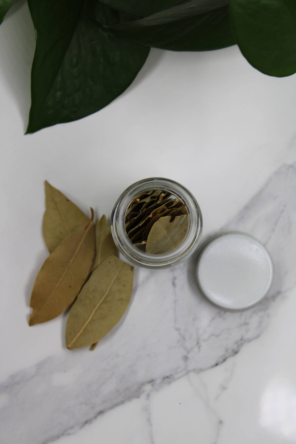 Organic Bay Leaf