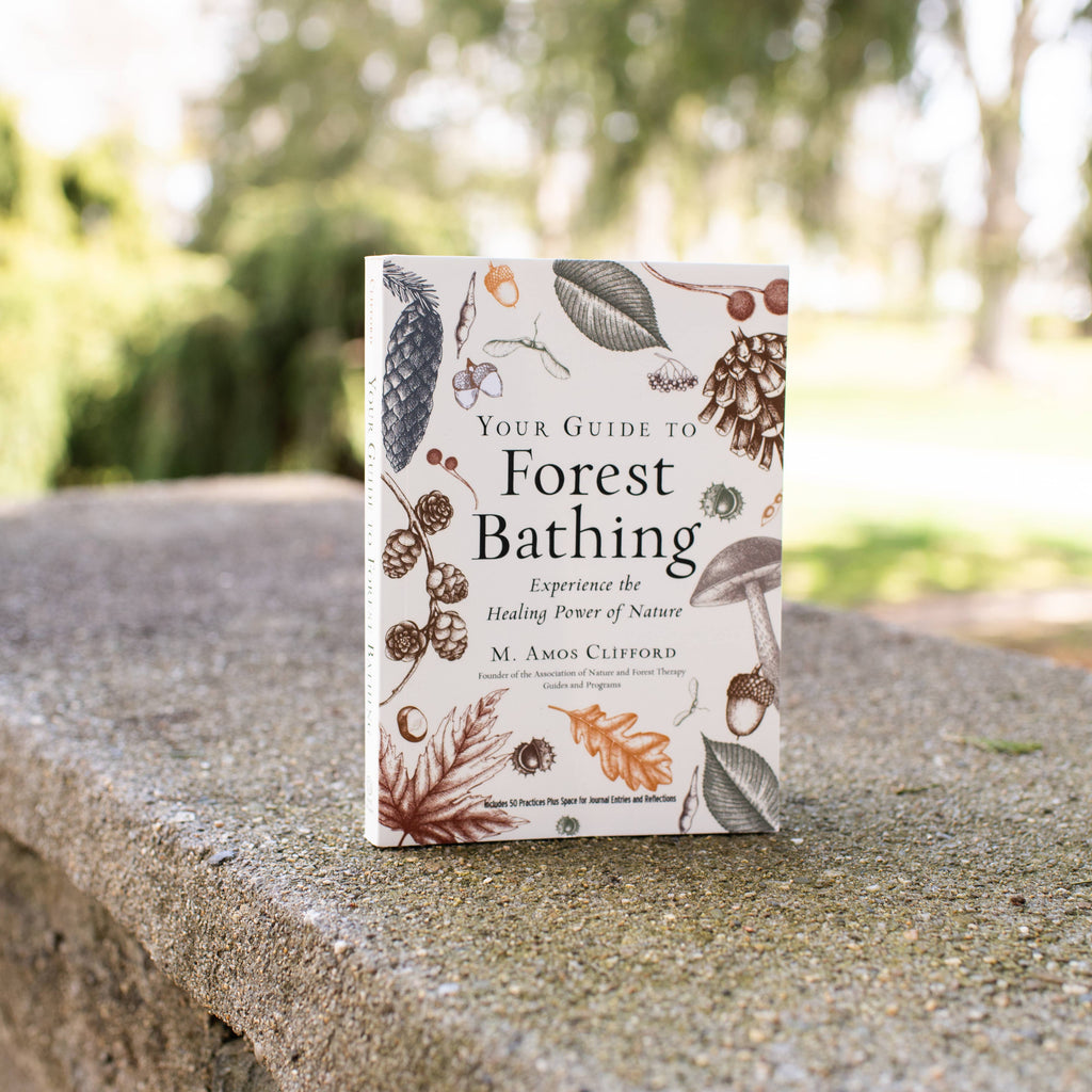 Your Guide to Forest Bathing: Expanded Edition