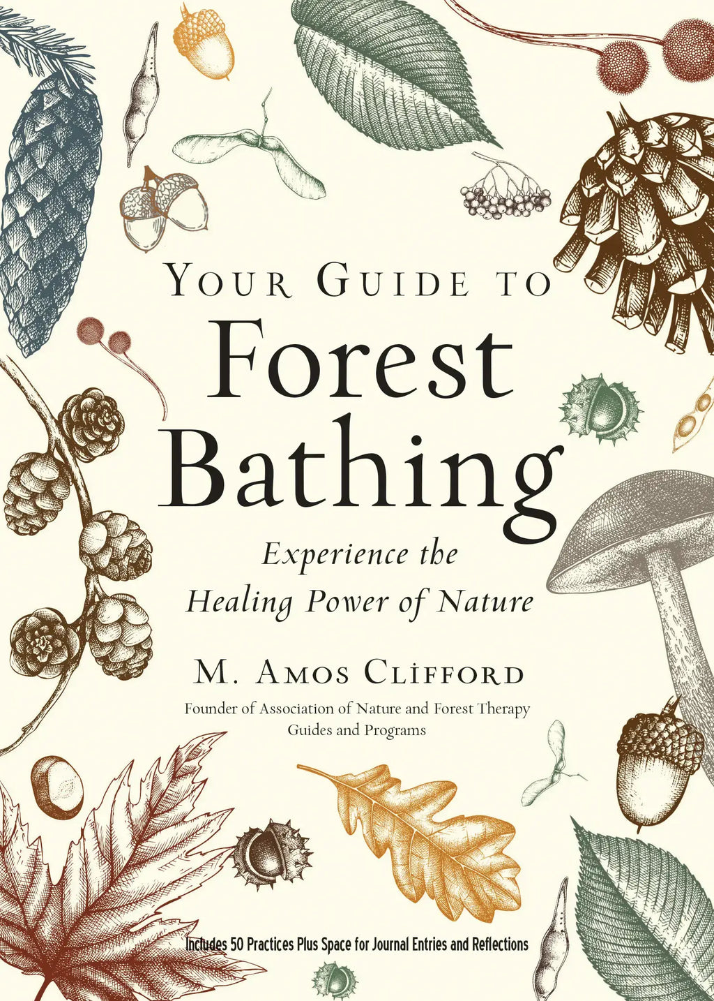 Your Guide to Forest Bathing: Expanded Edition