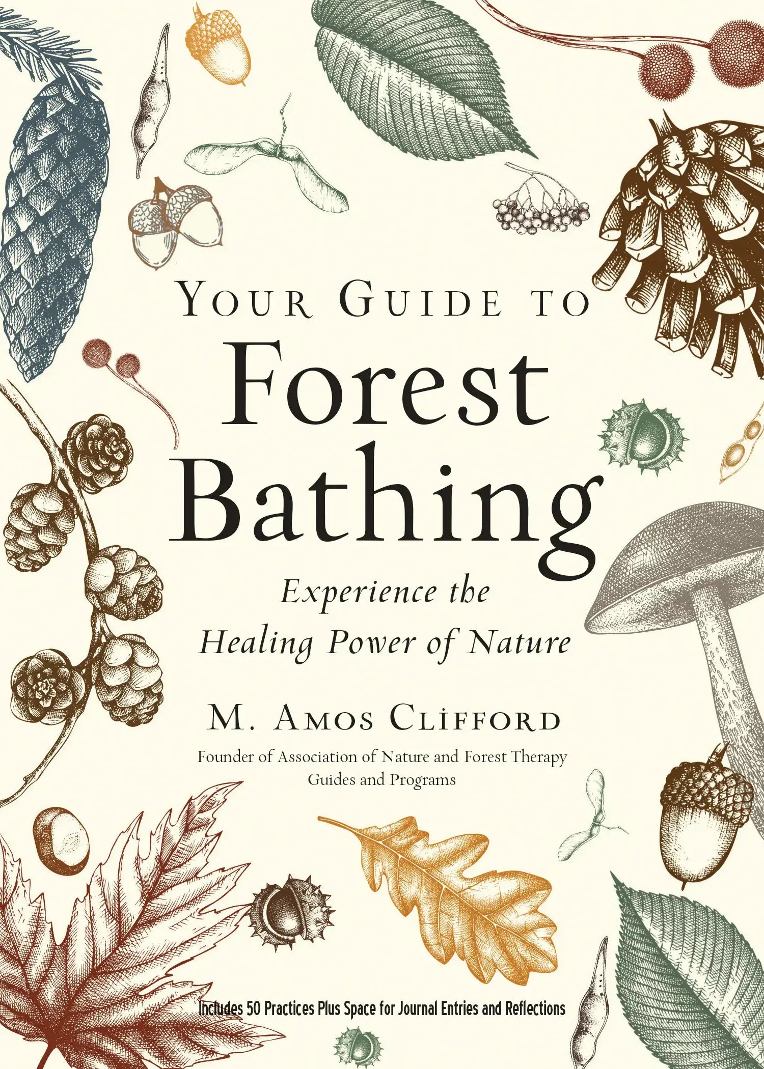 Your Guide to Forest Bathing: Expanded Edition