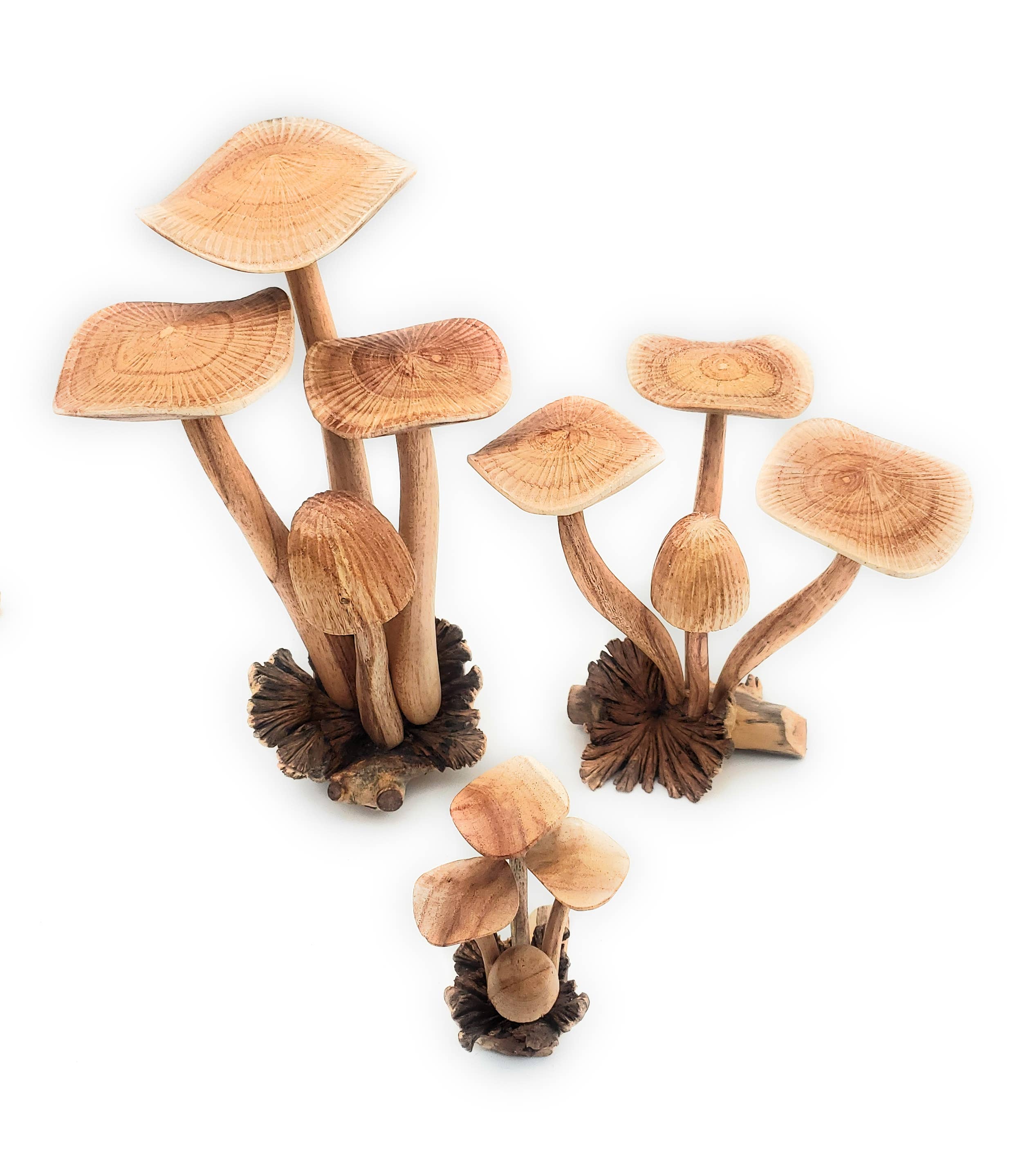 Hand Carved Jumbo Wooden Magical Mushroom