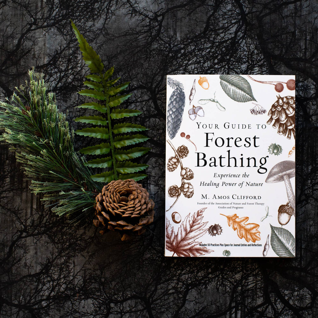 Your Guide to Forest Bathing: Expanded Edition