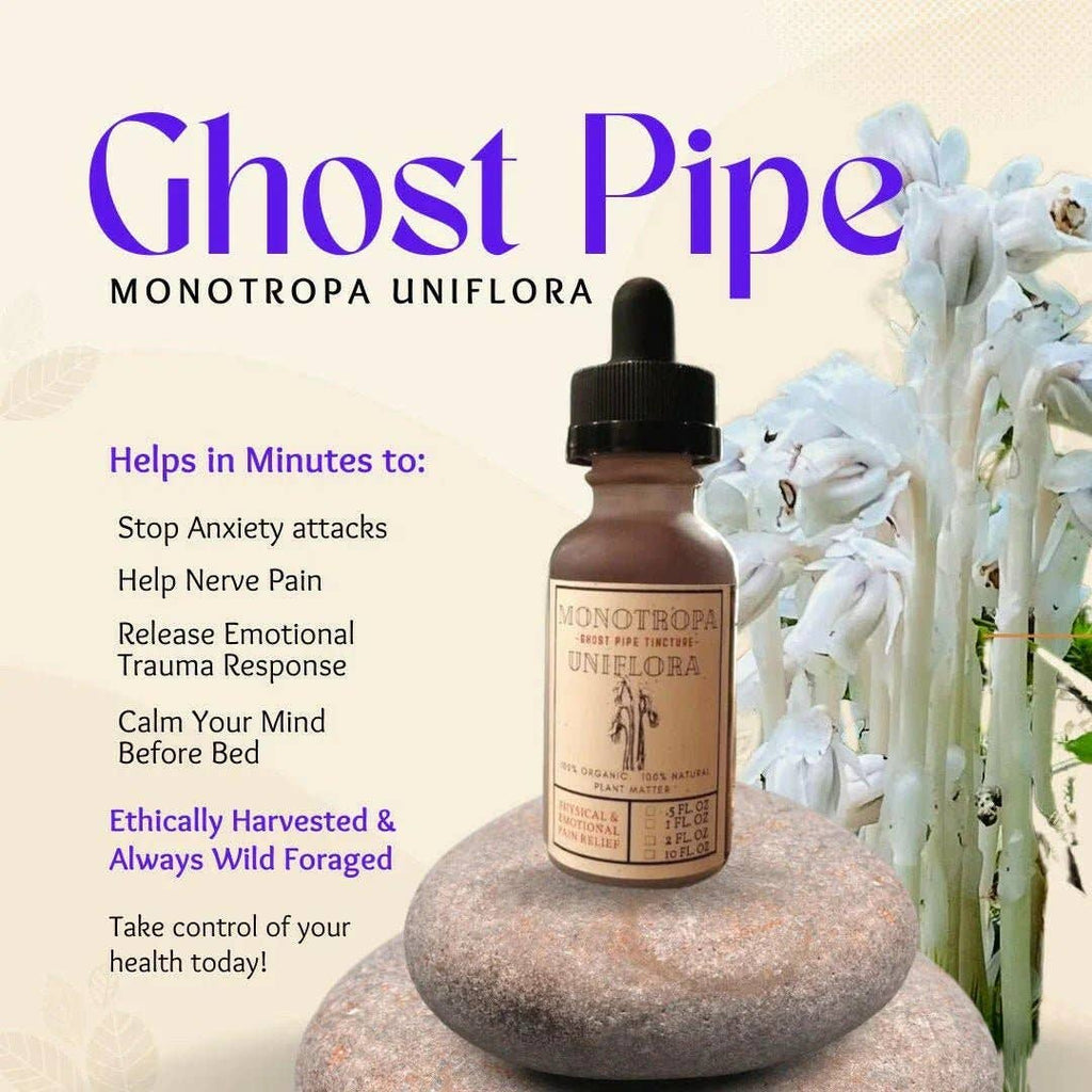 Ghost Pipe (Monotropa Uniflora) I Wild Foraged Tincture