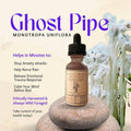 Ghost Pipe (Monotropa Uniflora) I Wild Foraged Tincture