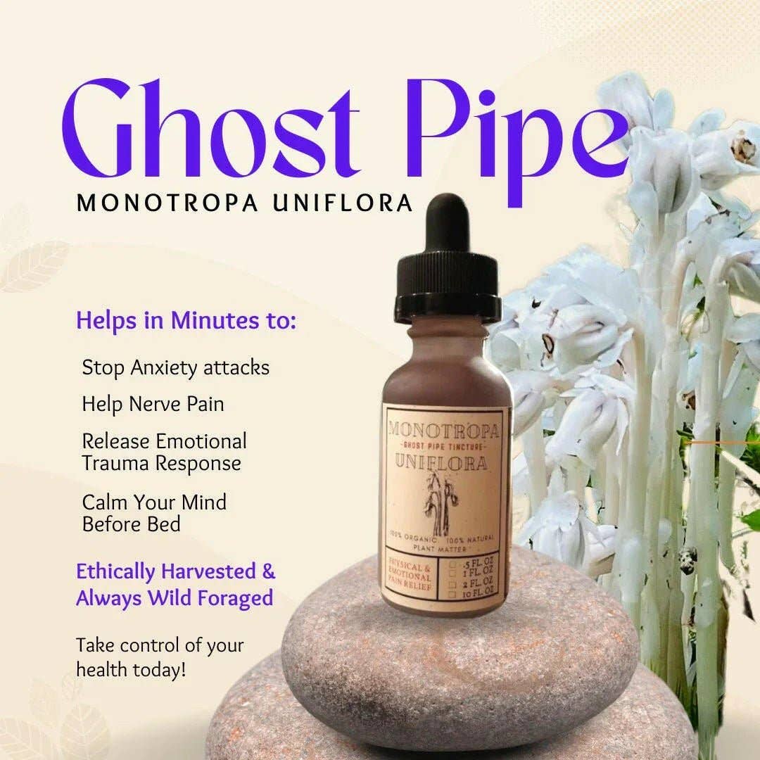Ghost Pipe (Monotropa Uniflora) I Wild Foraged Tincture